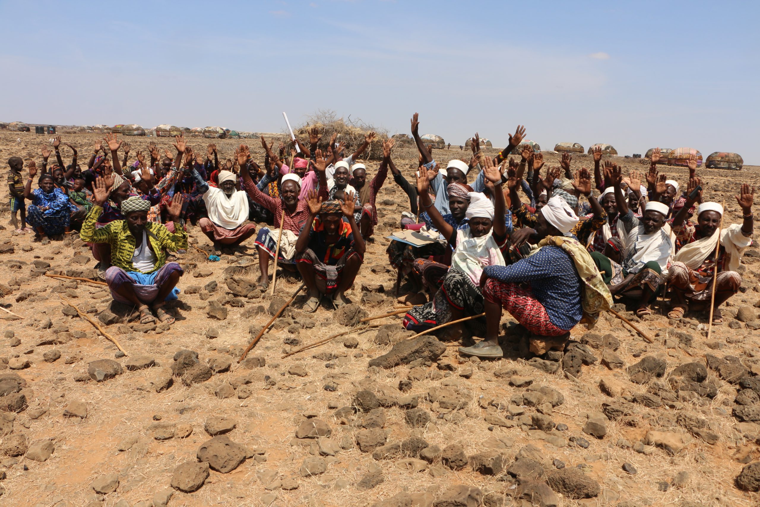 Community Participation